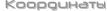 Координаты